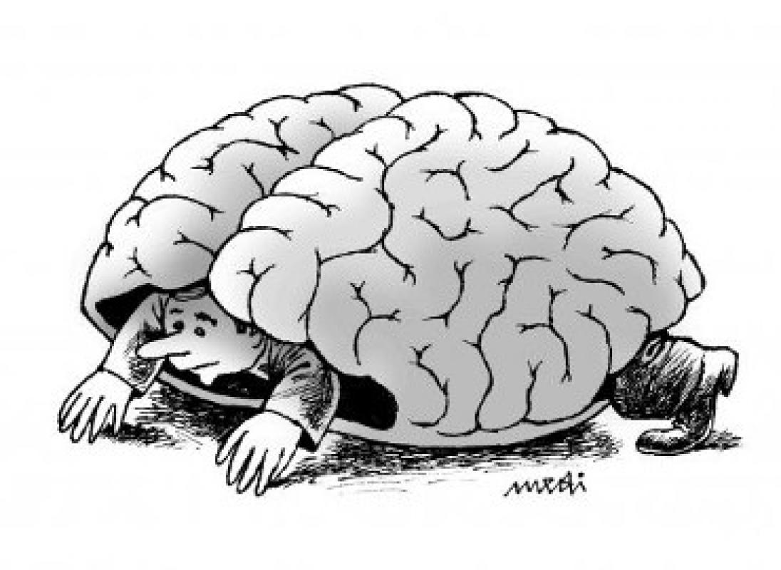 Smegenys – tingumo etalonas
