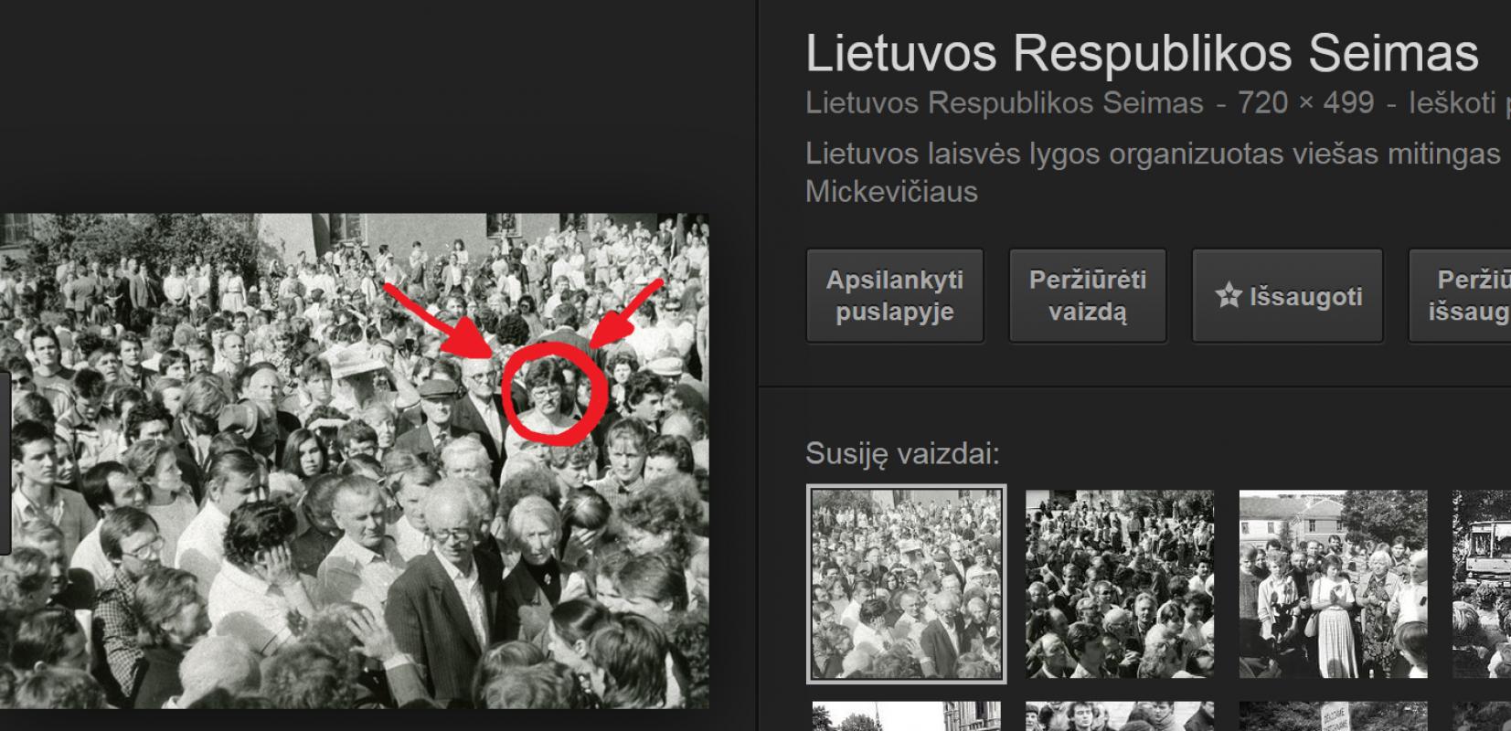 Sensacija. Prof. Mažylis mitingo prieš 30 metų prie Adam Mickewich paminklo nuotraukose atpažino Grybauskaitę!